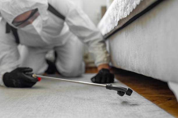 Professional Termite Control technician working in Latimer, MS
