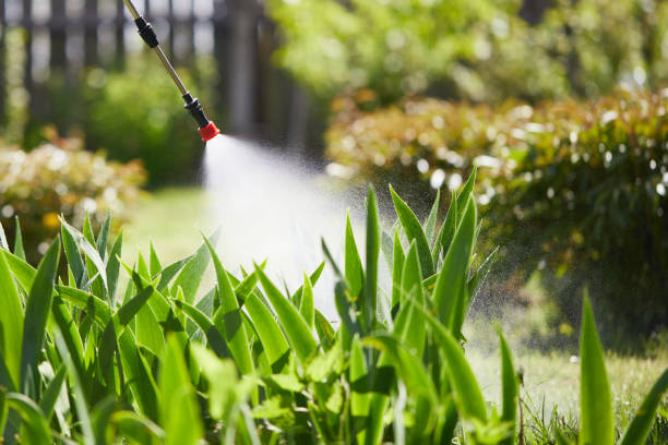 24/7 Emergency Termite Control experts in Latimer, MS