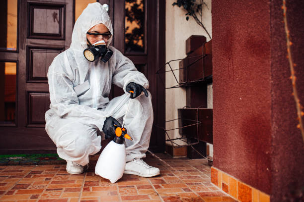 Reliable Termite Control contractor in Latimer, MS by Nex Pest Control